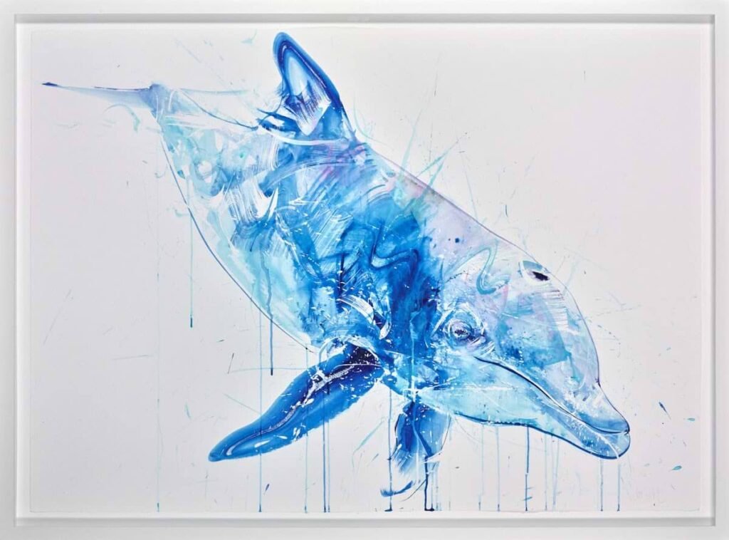 Dolphin IV